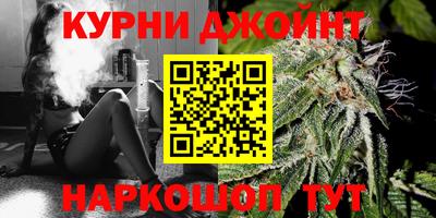 дмт Кингисепп