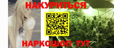 дмт Кингисепп
