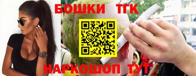 дмт Кингисепп