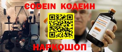 дмт Кингисепп