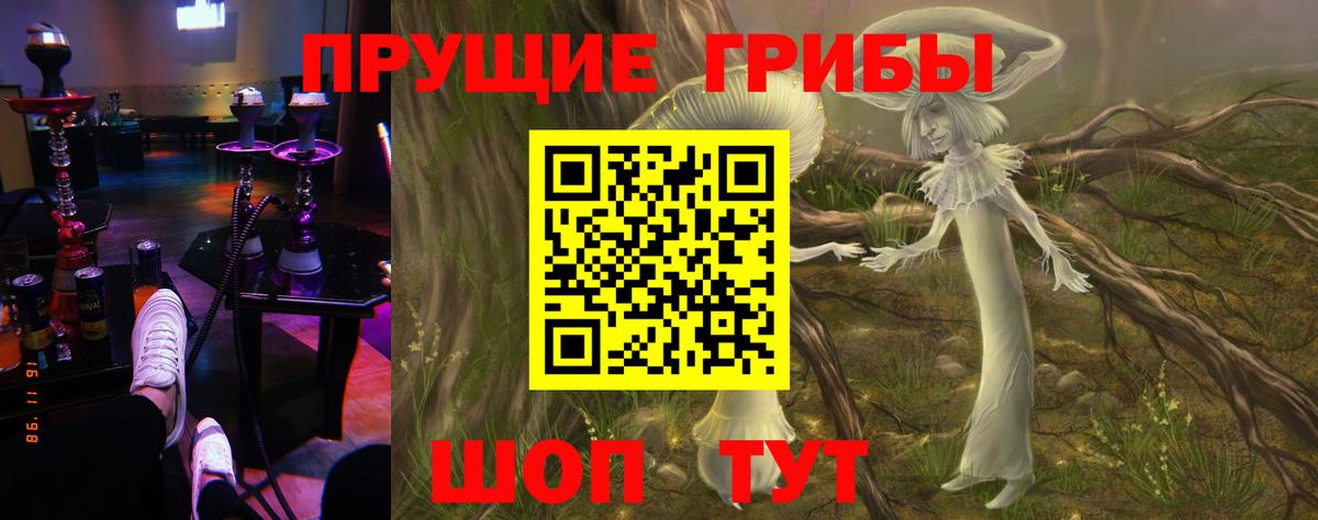Галлюциногенные грибы Cubensis Лабытнанги