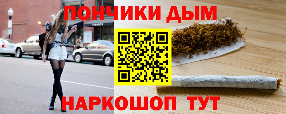 Шишки марихуана Bruce Banner Лабытнанги